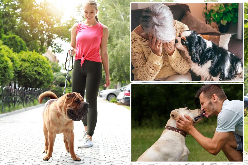 Owning a dog can help you live longer - 4 ways they improve your health